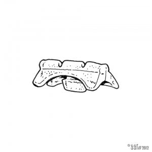 Seat rail guide, front